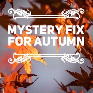Mystery Fix for Autumn - Curvy Sizes!